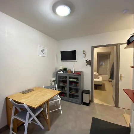 Les Oiseaux T2 Apartment Le Mont-Dore